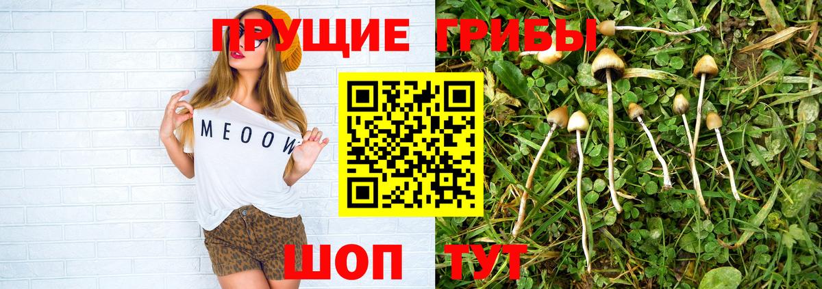 Галлюциногенные грибы MAGIC MUSHROOMS Ахтубинск