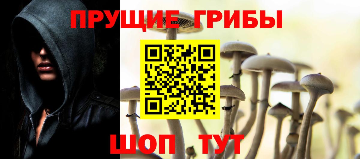 Ахтубинск  Псилоцибиновые грибы мухоморы  Вход с VPN 